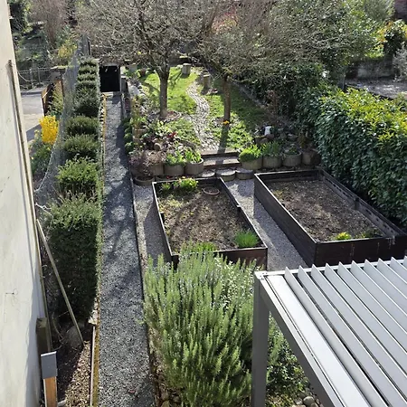 Apartment Grand Angelique Avec Jardin - Centre
