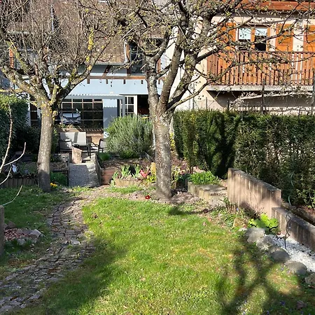 Grand Angelique Avec Jardin - Centre Apartment *