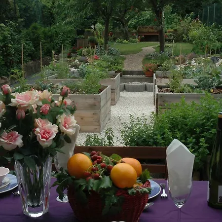 Mirabelle Avec Jardin - Centre Lägenhet