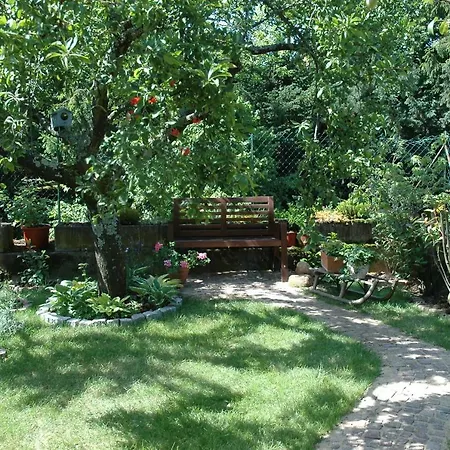 Mirabelle Avec Jardin - Centre Lägenhet