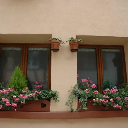 Mirabelle Avec Jardin - Centre Ribeauvillé