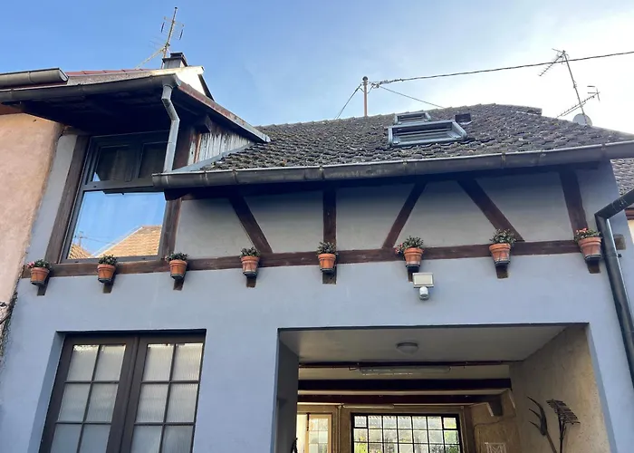 Apartmán Angelique Avec Jardin - Centre